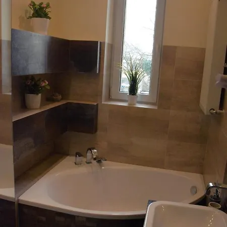 Apartament Dębnicki